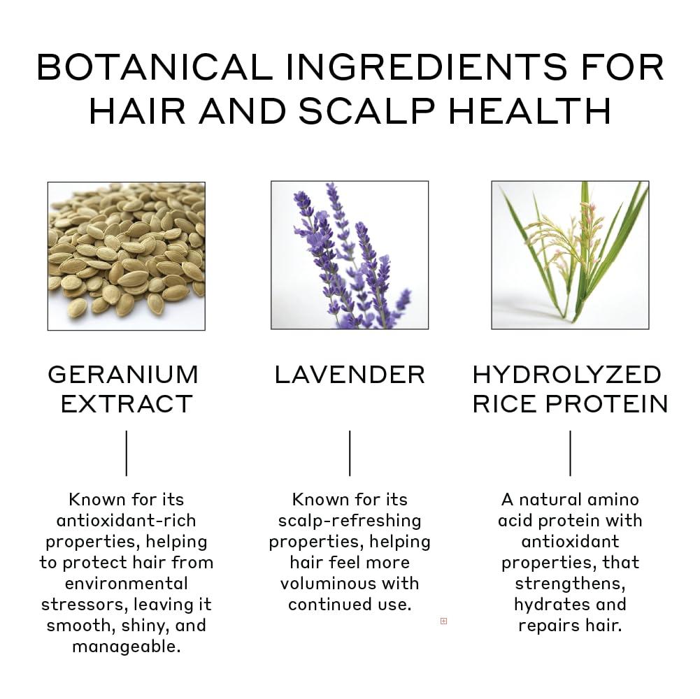 imageZENAGEN Volume Foam Lightweight Densifier Volumizer Boosts Hair Volume amp Thickness Provides Lightweight Hold Nourishes amp Strengthens Hair NonGreasy PlantBased Vegan All Hair Types17 Fl Oz Pack of 1