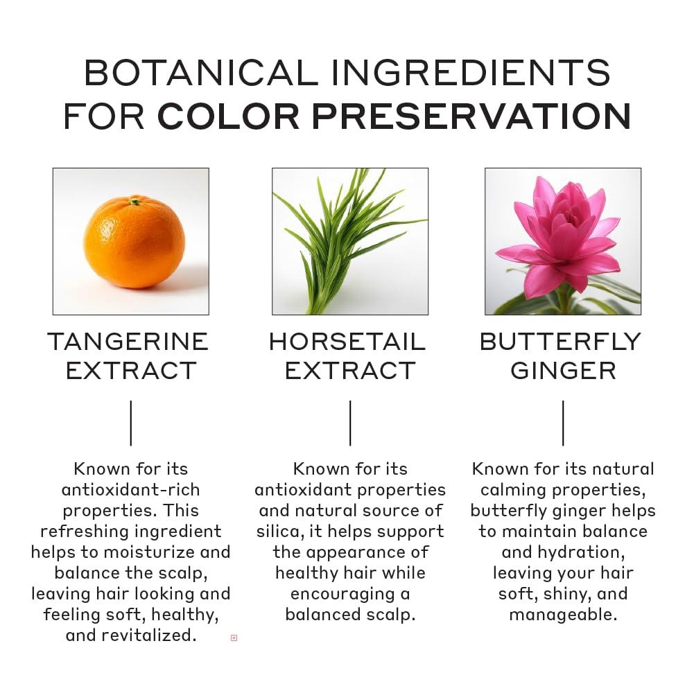 imageZENAGEN Eclipse Color Preservation Gray Support Conditioner Enhances Hair Color Vibrancy Reduces Gray Appearance Nourishes amp Strengthens Aging Hair PlantBased ColorSafe 675 oz16 Fl Oz Pack of 1