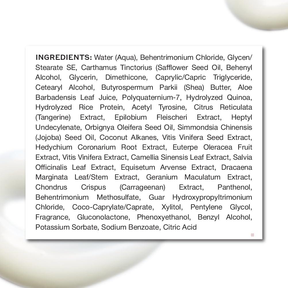 imageZENAGEN Eclipse Color Preservation Gray Support Conditioner Enhances Hair Color Vibrancy Reduces Gray Appearance Nourishes amp Strengthens Aging Hair PlantBased ColorSafe 675 oz16 Fl Oz Pack of 1