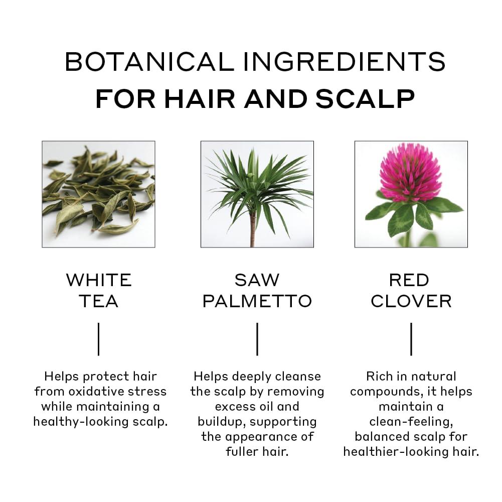 imageZENAGEN Densifying Hair Serum for Fine Thinning Hair Boosts Hair Density Strengthens amp Nourishes Hair Follicles NonGreasy WaterBased Formula PlantBased Vegan All Hair Types34 Fl Oz Pack of 1