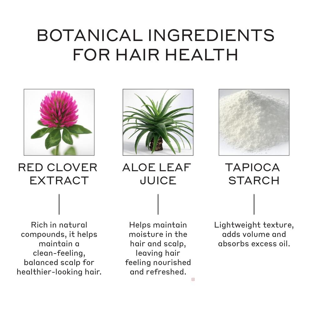imageZENAGEN Texturizing Powder Texturizer Root Volumizer Adds Instant Volume amp Texture Absorbs Oil For A Refreshed Look Lightweight ResidueFree Formula Vegan All Hair Types 9 g